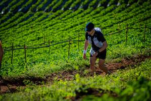 BIB: 
                            <button type="button" onclick="openModal(19160929)" class="btn btn-primary btn-sm float-right btn-popup" data-toggle="modal" data-target=".modal-high-quality">
                        <i class="fas fa-shopping-cart"></i> Add to Cart
                    </button>
                                            <button type="button" onclick="isThisMe(19160929, true)" class="btn btn-success btn-sm float-right btn-popup btn-isme hidden" data-toggle="tooltip" data-placement="bottom" title="นี่คือรูปของคุณใช่ไหม คลิกที่นี่เพื่อเอาเข้าอัลบั้ม">
                        <i class="fas fa-plus"></i> Add to album
                    </button>
                    <button type="button" onclick="isThisMe(19160929, false)" class="btn btn-warning btn-sm float-right btn-popup btn-isnotme hidden">
                        <i class="fas fa-ban"></i> Remove from album
                    </button>